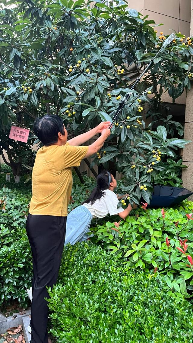 安康竹园小区：一方绿意四季如画，自然与人文之美