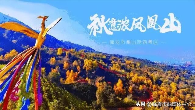 临夏行自驾必走→这条被誉为凤凰山「最美弯道」国庆秋色正美！