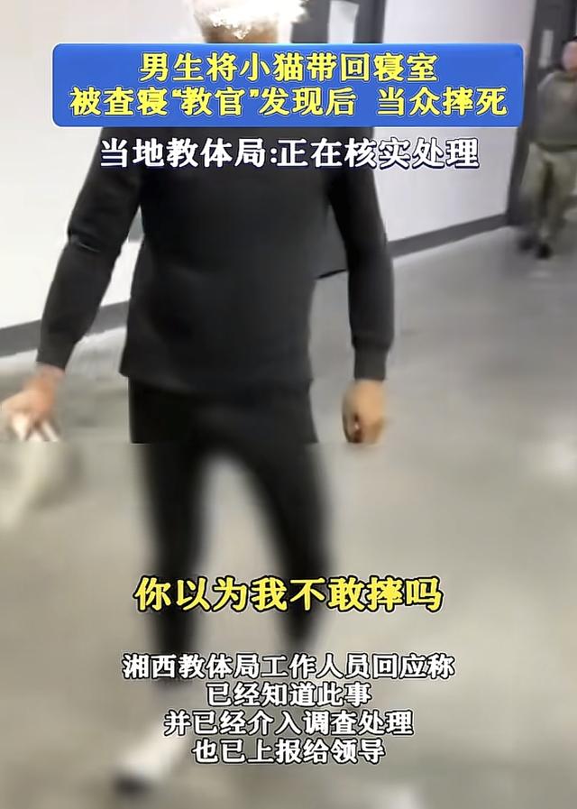 教官摔猫后续，教官被辞退，学生再发文：故意激怒教官样子帅不帅