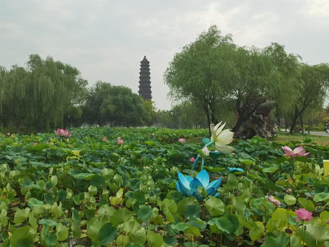 铁塔虽不是开封热门景点，确有“天下第一塔”之称