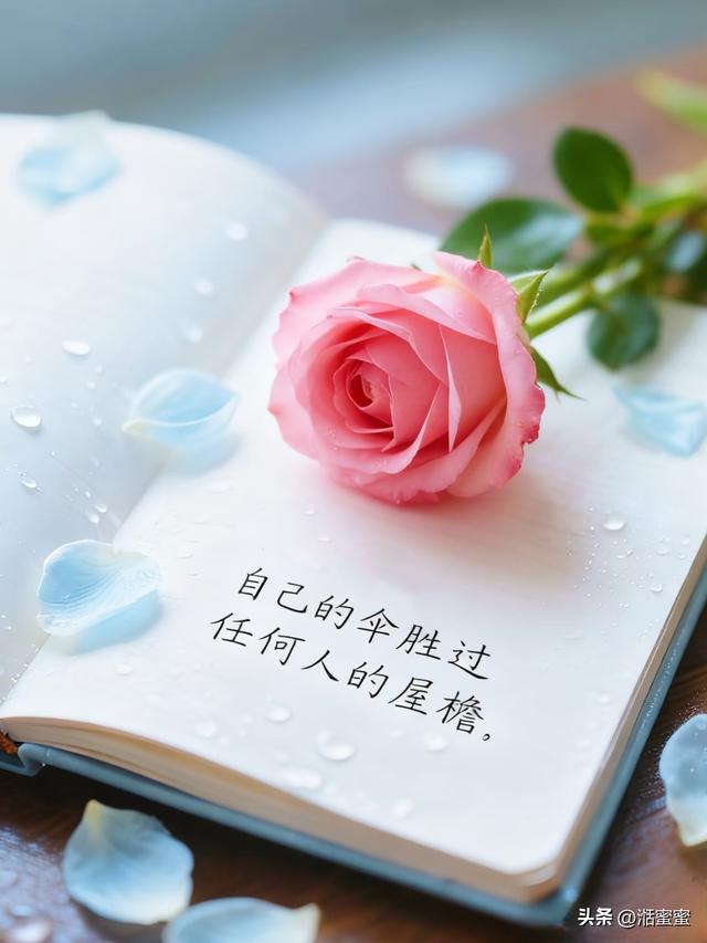 维多利亚港的邂逅