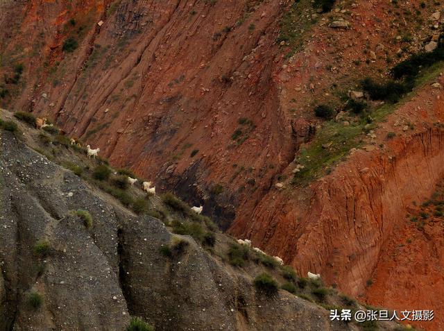 跟着张旦行摄中国-新疆篇 拍摄安集海大峡谷 赞美大自然的鬼斧神工