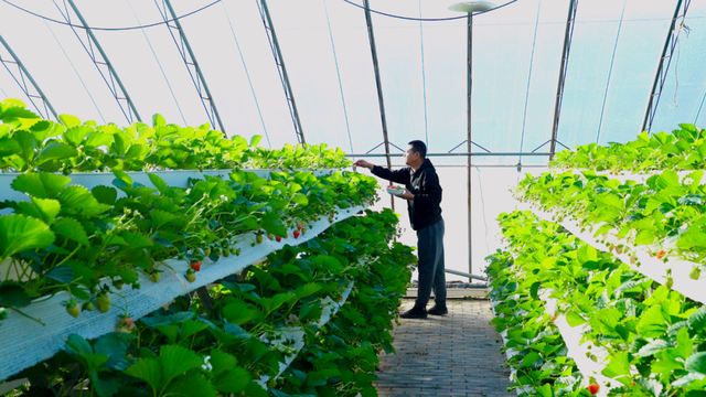 热气腾腾！这是冬日广饶的正确打开方式！