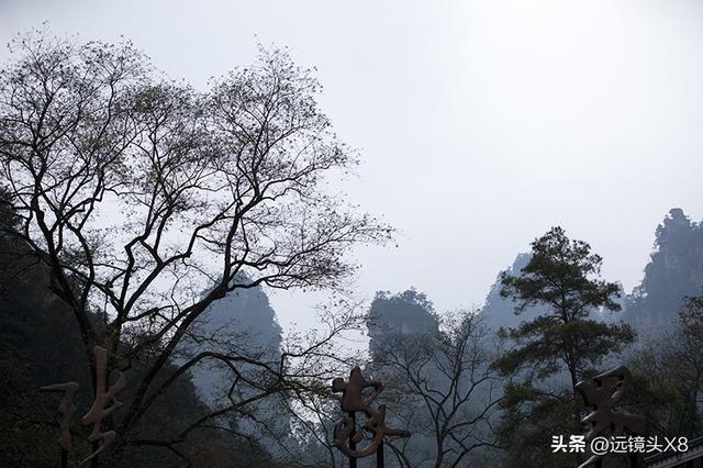 张家界国家森林公园的自然诗篇