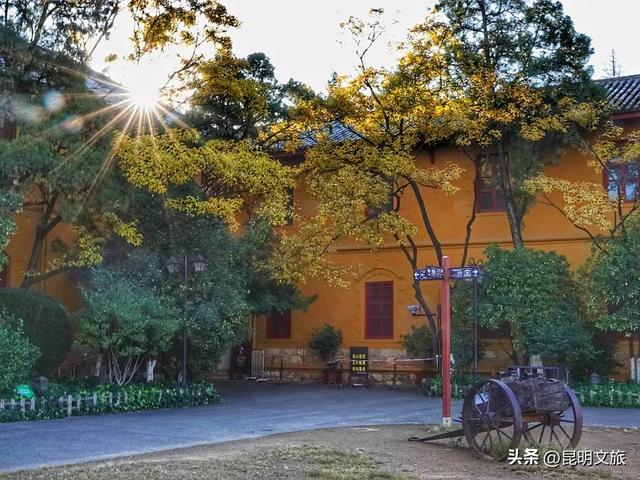 全屏“封神”！这可是昆明初冬的超绝顶流！保姆级攻略来袭，趁天晴立马冲！