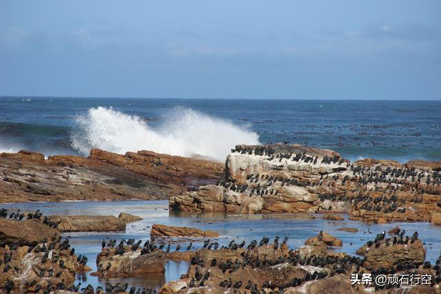 南部非洲：南非好旺角