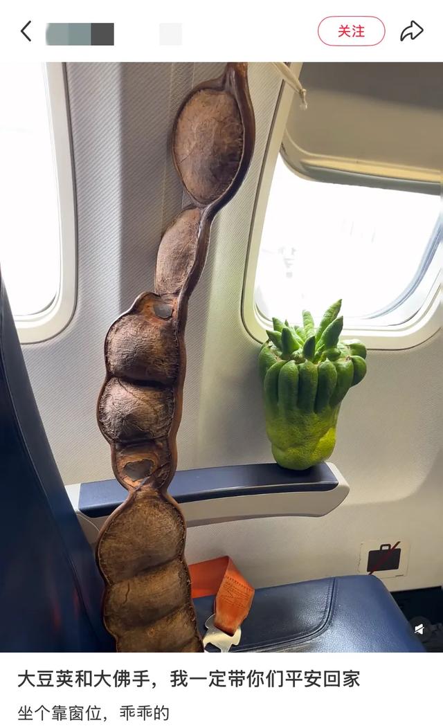 这可能是我买过的最离谱的特产: