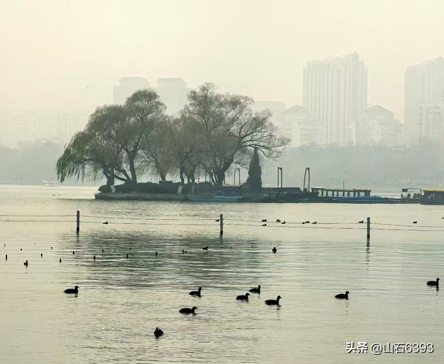 新华社原军事记者陶俊峰泉城美拍：《冬雾中的大明湖》