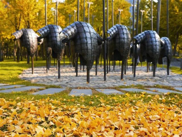 西安周末游丨这8个免费赏银杏叶好去处