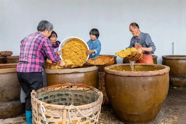 今天，《新华日报》整版聚焦吴中！