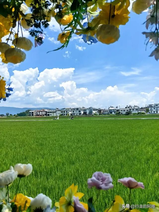 和老伴去云南大理住了俩月，我实话实说：跟网上说的不太一样