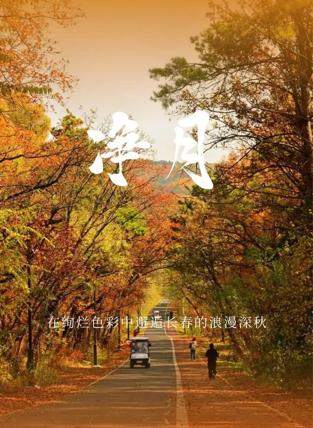 吉林赏秋榜出炉！净月登榜！这份“追秋”攻略快收好~