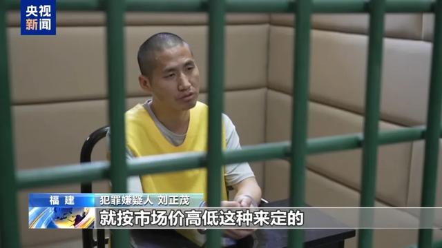 诱拐大批中国籍妇女卖淫，强迫卖淫女陪客人吸毒……犯罪细节触目惊心