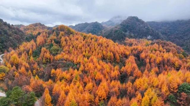 藏不住了！嘉陵镇这份治愈系美景，承包你所有的诗和远方～