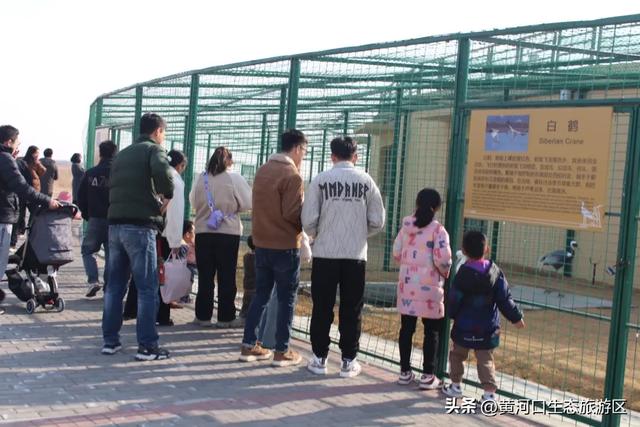 【黄河口生态旅游区】欢欢喜喜闹元宵 游玩指南来袭！