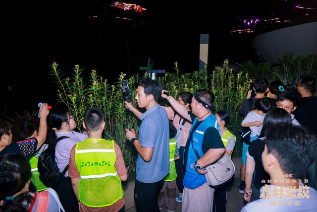 广州亲子研学，夜游植物园，走进大自然的夜课堂