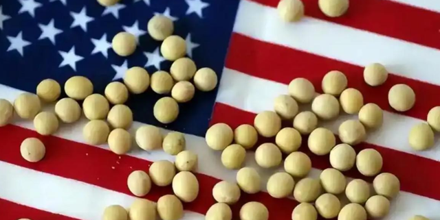 3天狂买160万吨，美国大豆比巴西大豆每吨贵600元，中国的考量精明吗？