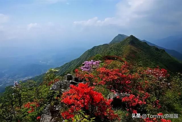 湖南人避暑首选这些地方，让你去了不想回家