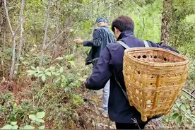 陈佩斯69岁坐拥北京万亩良田，催生得四个孙子孙女，网友：大智慧图片