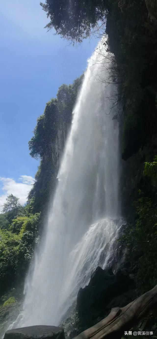 夏之思