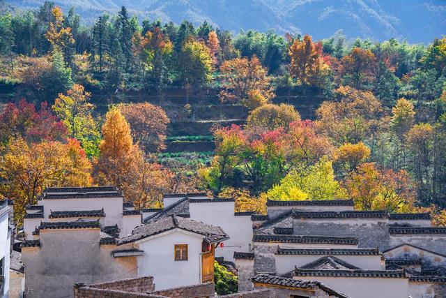 9月-11月，国内20个最美赏秋胜地，今年打算去哪一个