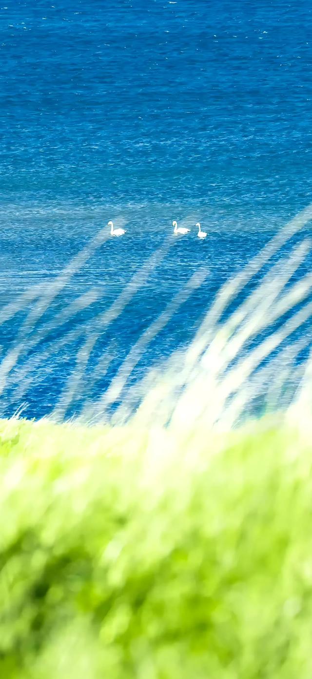 手机壁纸|赛里木湖