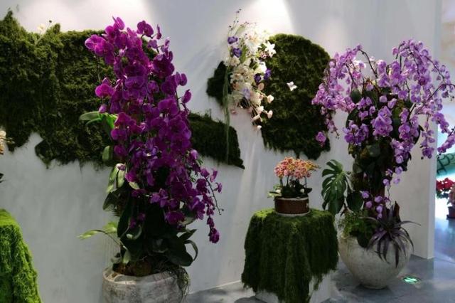 开启“双节”文旅盛宴 太原植物园活动精彩纷呈