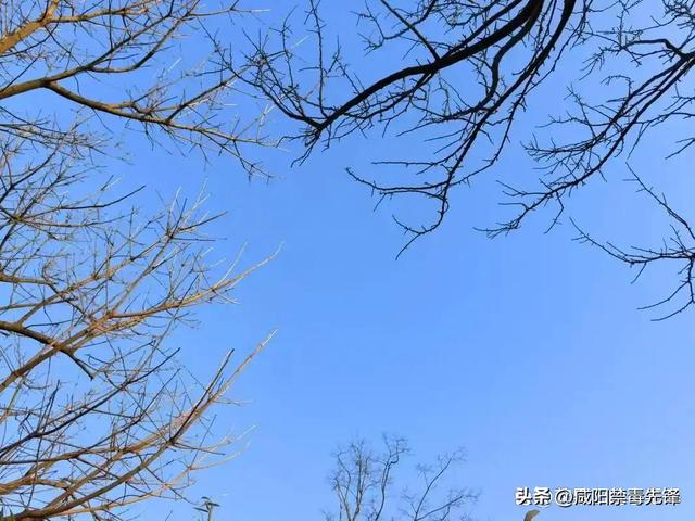 “最怕三九晴又暖”，今年三九太反常，连续晴天，有啥预兆？看农谚咋说