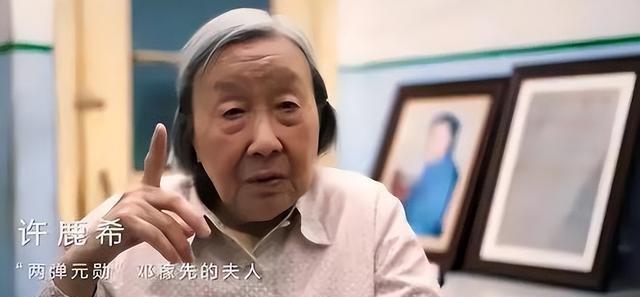 中央军委决定公开邓稼先的身份，许多亲友问许鹿希：他还活着吗？