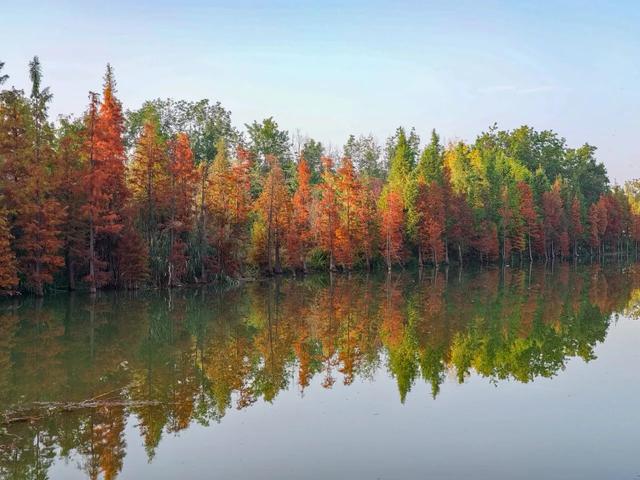 刚拍下!洛阳这个大型公园美爆了