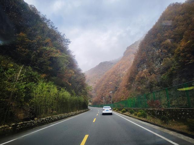 南行漫记：329公里的穿越之路，带你一起看红叶