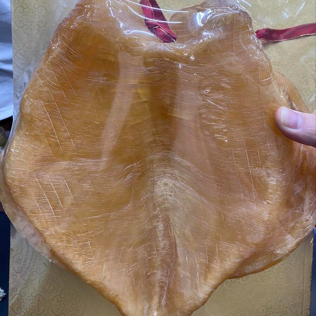 如何清洗花胶 2026年如何清洗花胶视频 如何清洗花胶 2026年如何清洗花胶视频