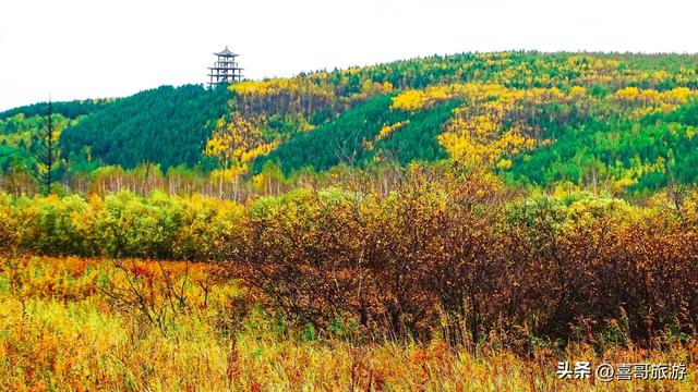 探秘漠河九曲十八弯:北国湿地的四季画卷
