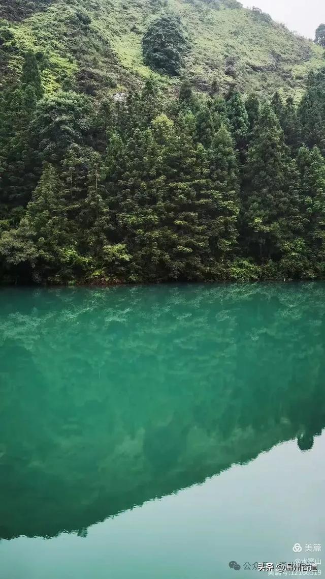 这座温州最具桃源的古村，避暑佳地，你可去过？