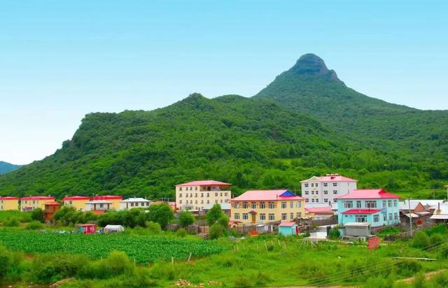 寻觅清凉绿意，哈尔滨文旅邀你开启一场“森”呼吸之旅！