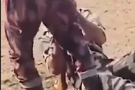 印度同时挑衅两个邻国，连孟加拉都强硬反击：身背56冲，暴打印军图片