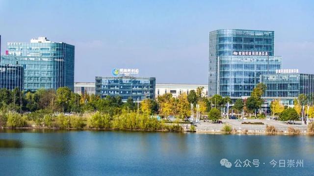 速来→崇州正上演初冬金色浪漫大片！