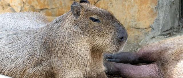 冬春游兰州全攻略！10条特色主题线路推荐！