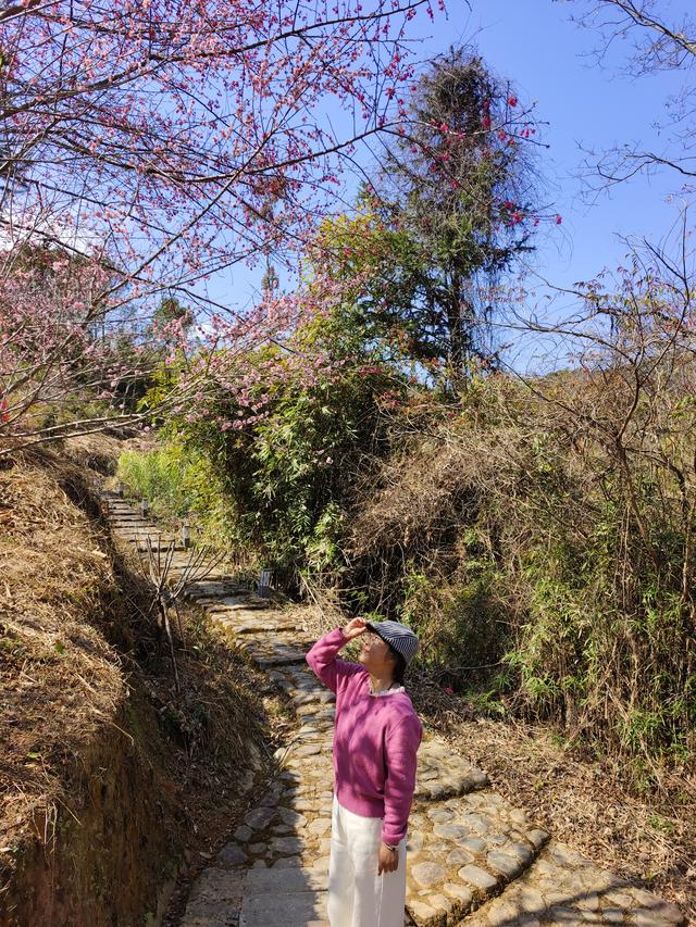 土楼拾光③:梅林古镇（2025.2.11 漳州·南靖）