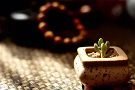 穷人为什么很难咸鱼翻身，不是缺钱、缺人脉，而是这三个原因图片