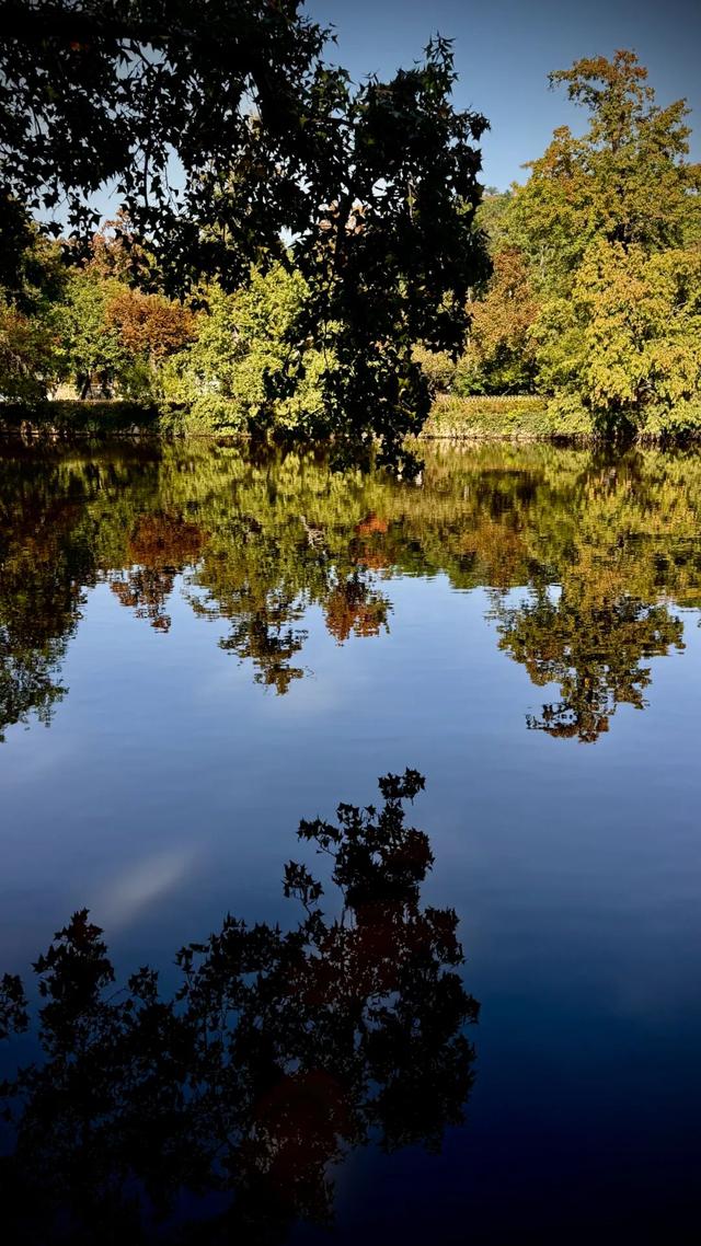 你一声秋不晚，我便到了真江南｜姑苏寻秋