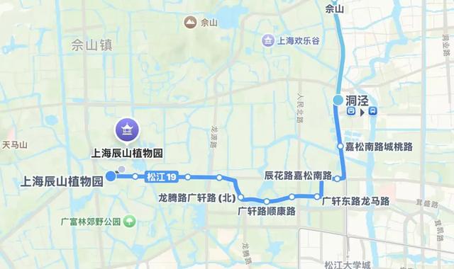 周五宠粉日｜运动赏景两不误！这份公园运动指南请查收，更有辰山植物园门票等你免费领