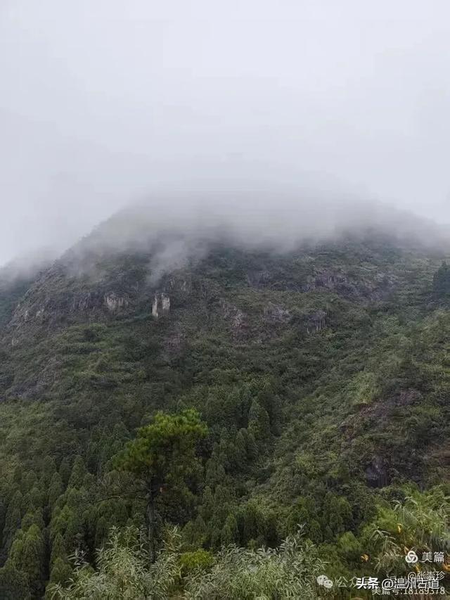 周末徒步去！这个有"温州版武功山"之称的名山，你可要去爬一次