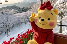 高清微信头像｜谁能拒绝毛绒玩偶头像？这波可爱必须拿捏🤌图片