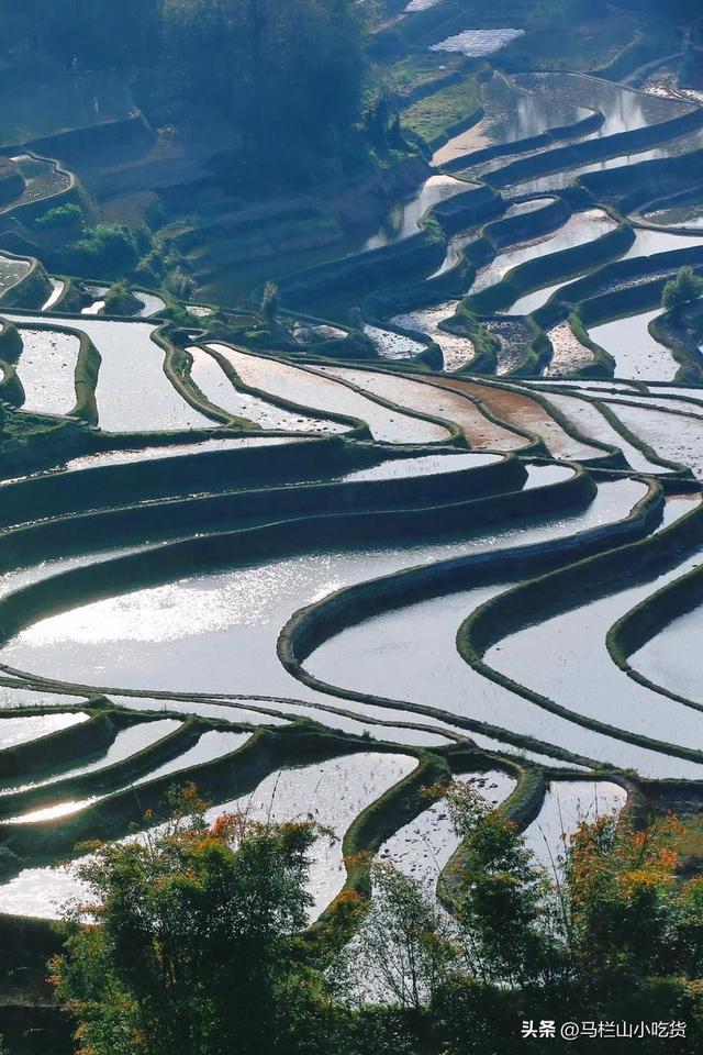 云南红河元阳梯田|小众宝藏打卡地之旅！