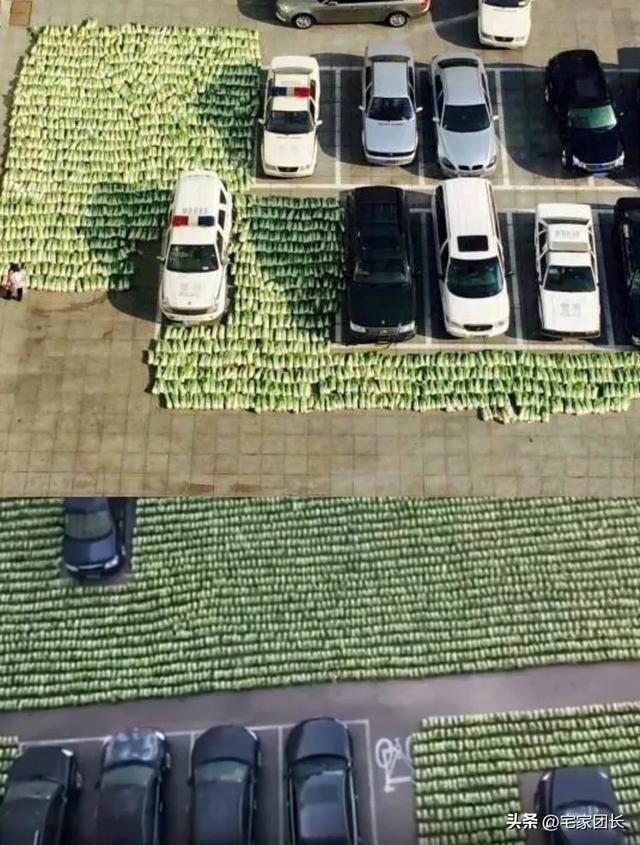 漠河30个冷知识！本地人说“这你都知道？”，看完第5条就惊了