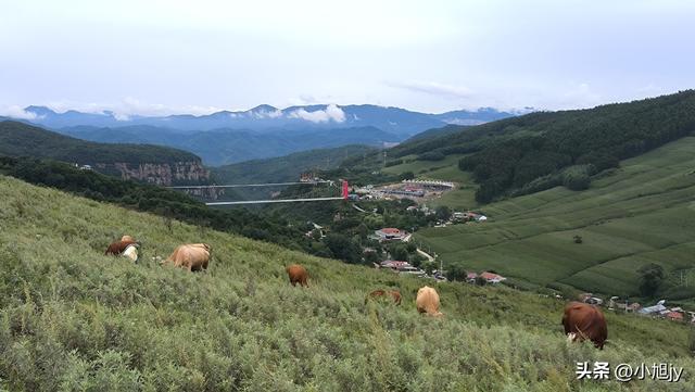 雨后徒步辽阳梨花峪，云雾缭绕｜木栈道、山地草甸、网红秋千