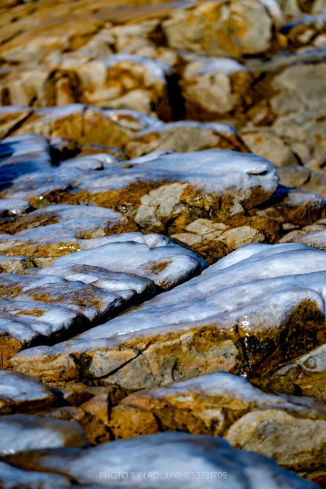 很多人没见过！在日照海边绵延数公里……