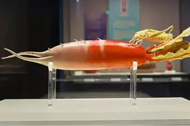 河南博物院馆藏文物欣赏图片