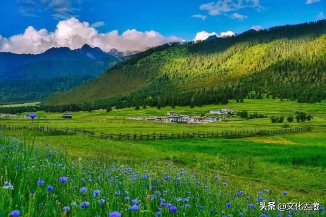 西藏，旅行天花板！2026年的最全玩法，就在这篇里→